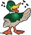 duck singing 1
